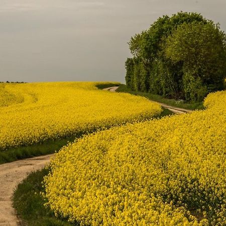 Eco Gite Argonne, Gite Insolite Lisle-en-Barrois ภายนอก รูปภาพ