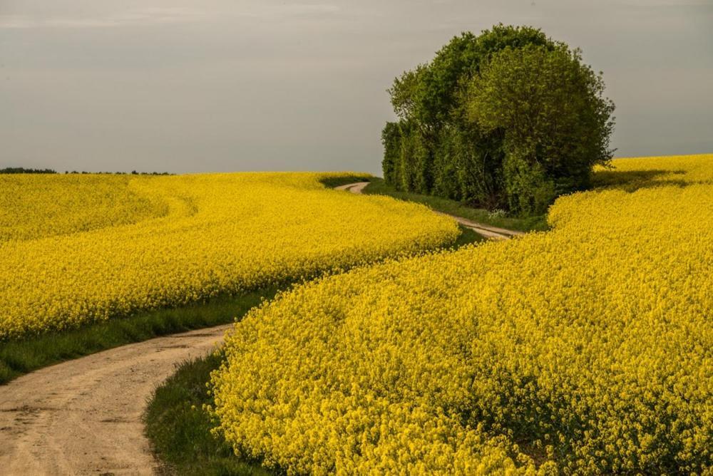 Eco Gite Argonne, Gite Insolite Lisle-en-Barrois ภายนอก รูปภาพ